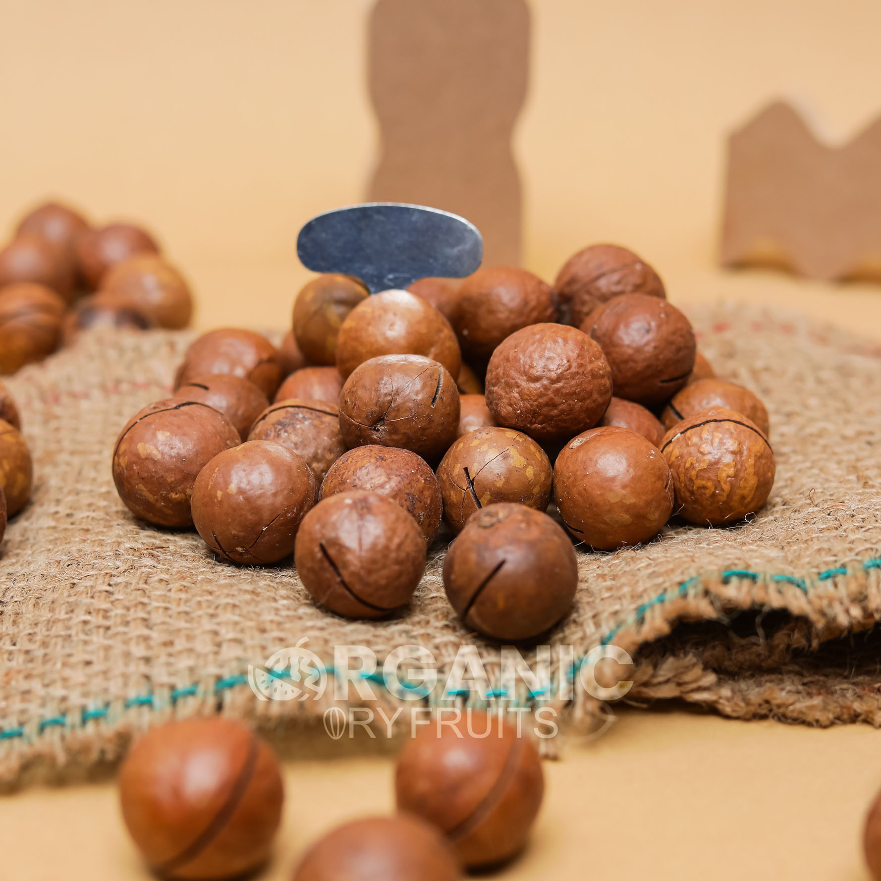 Macadamia Nuts (Chabi Akhrot) - Image 3