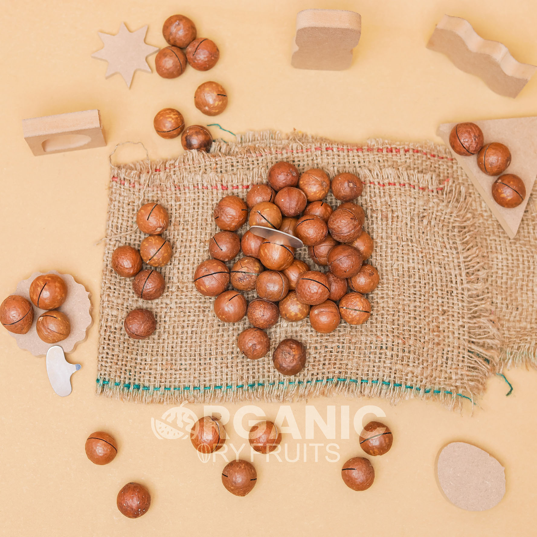 Macadamia Nuts (Chabi Akhrot) - Image 4